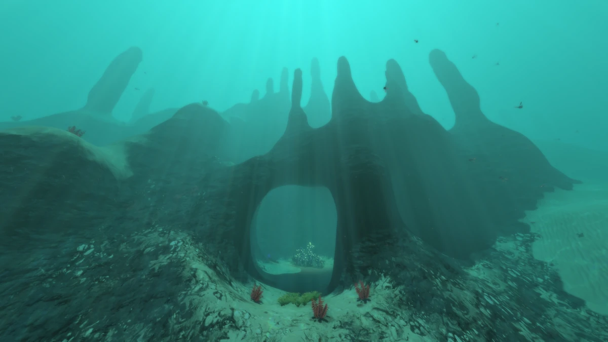 Sparse Reef