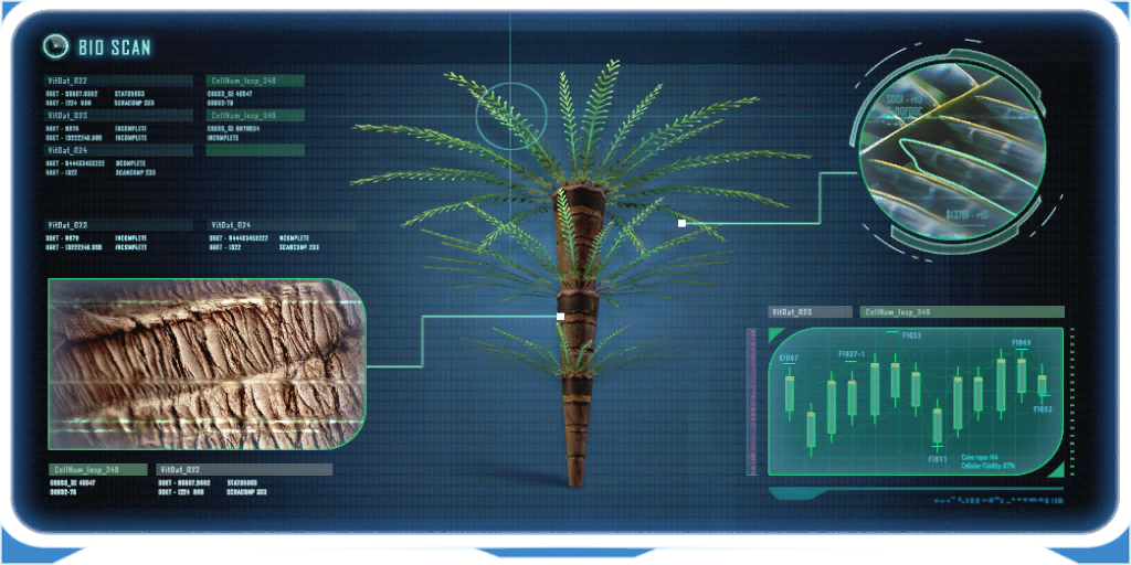 Fern Palm