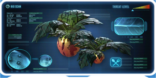 Marblemelon Plant