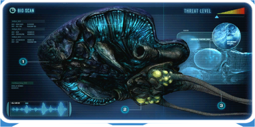 Reefback