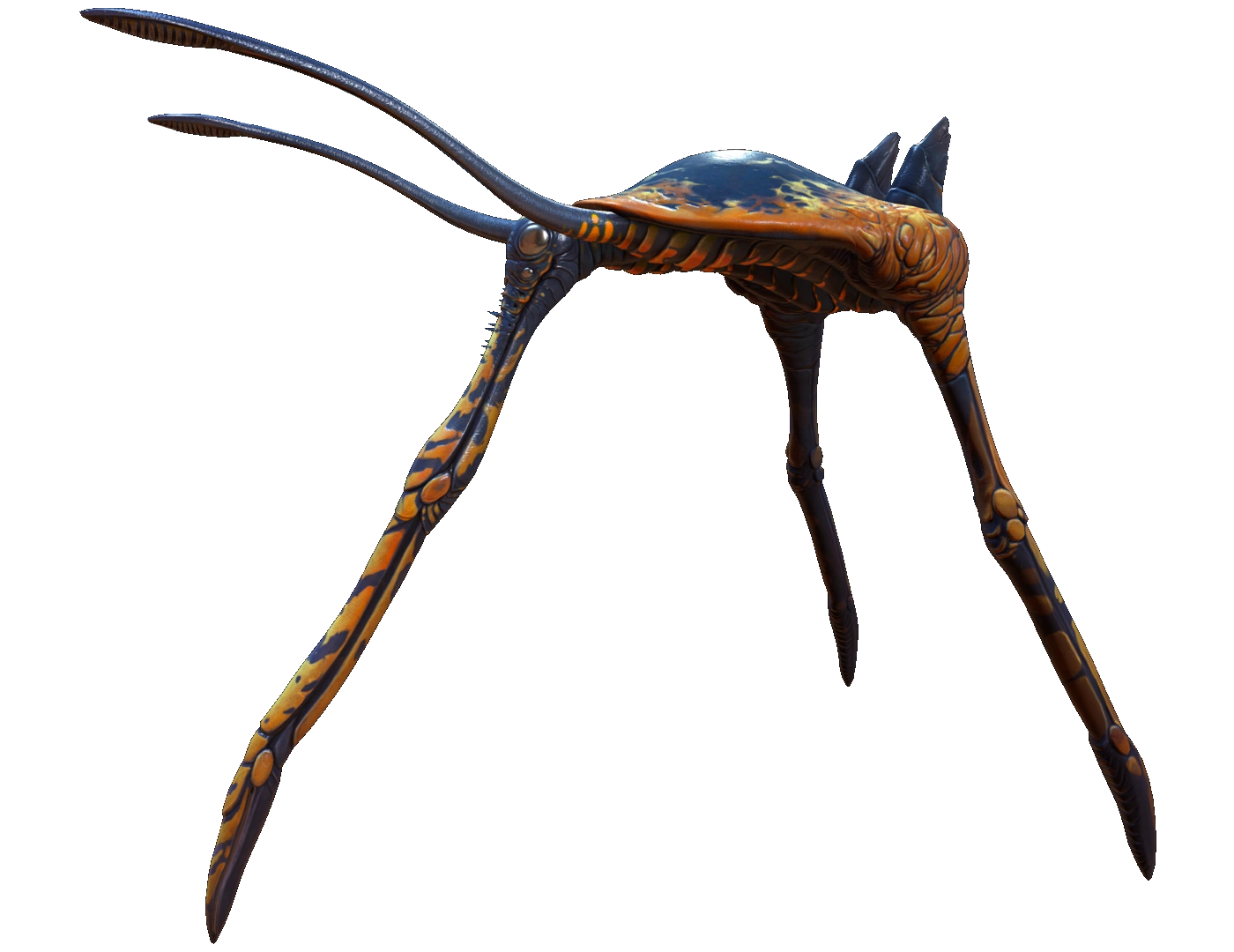 Caminante de los mares